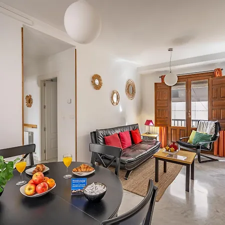 Apartment Luxury Ancha De La Virgen Granada
